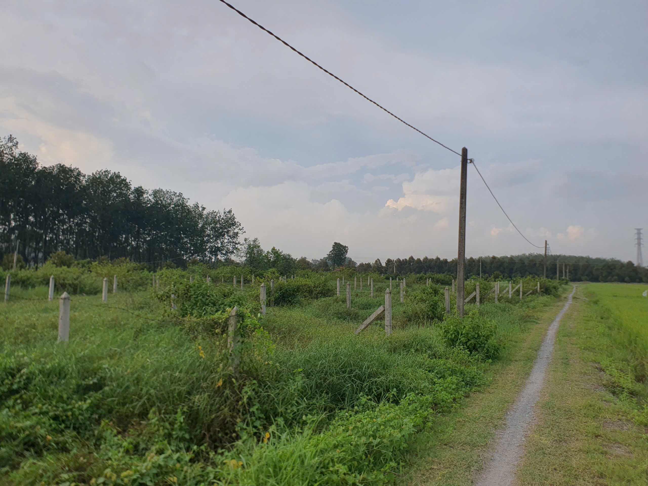 BÁN ĐẤT XÃ TRUÔNG MÍT TỈNH TÂY NINH